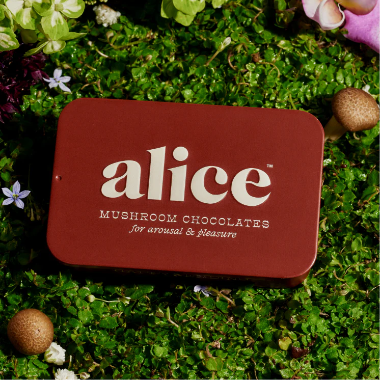 Alice Mushroom Chocolate for arousal